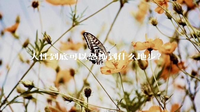 人性到底可以恐怖到什么地步？