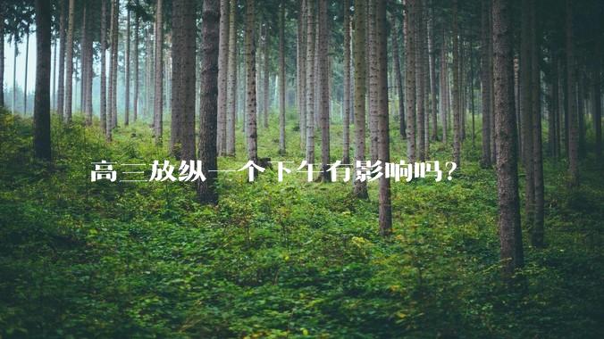 高三放纵一个下午有影响吗？