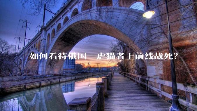 如何看待俄国一虐猫者上前线战死？