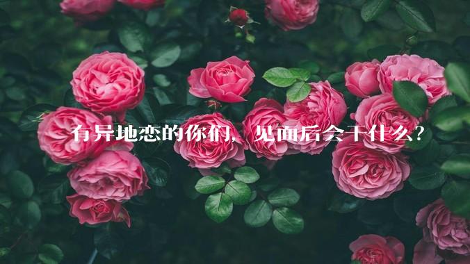 有异地恋的你们，见面后会干什么？