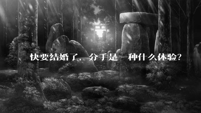 快要结婚了，分手是一种什么体验？