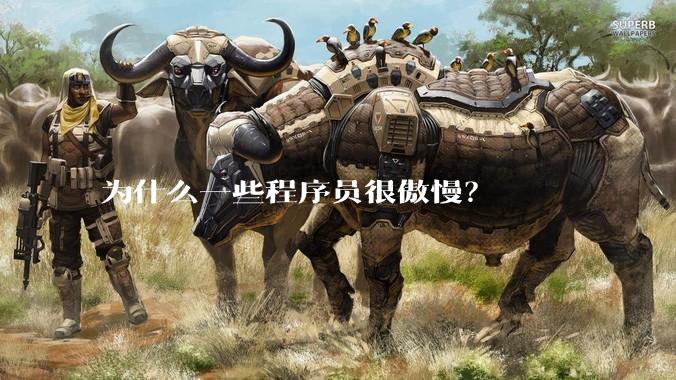 为什么一些程序员很傲慢？
