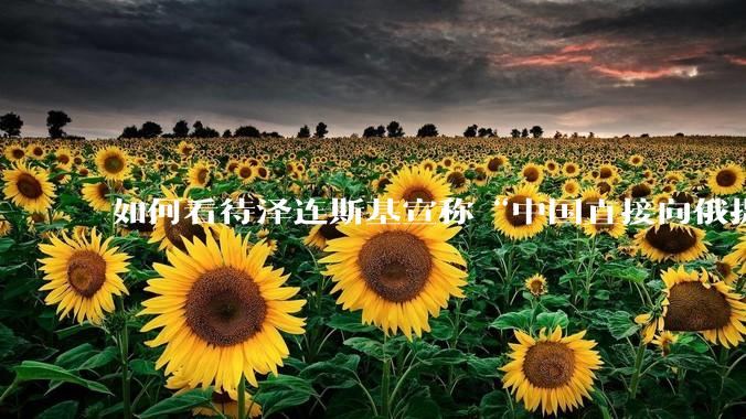 如何看待泽连斯基宣称“中国直接向俄提供***援”?
